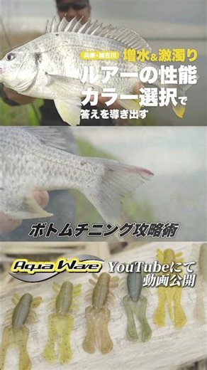 [Chinning] Mastering High Water and Murky Conditions with Lure Performance and Color Selection! #...