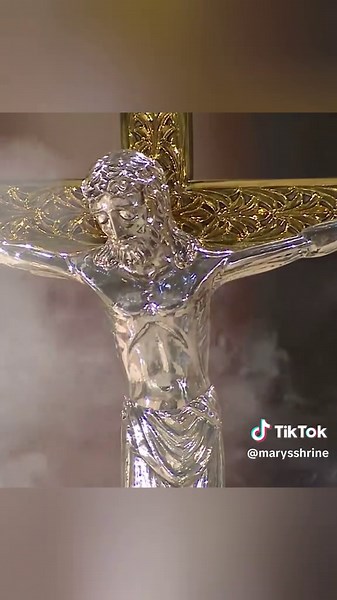 “Angels help us to adore Him; you behold Him face to face” #sundayhymn #sacredmusic #catholic