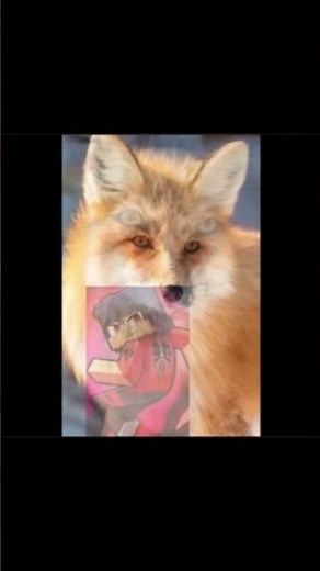 Aphmau zoo animals 🐍🐰🦊🐃🐱