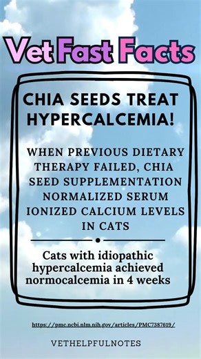 I have the details written below and the publication information. But, first, if you’d like me to send you a google doc for your files that has this synopsis and the publication link, just comment “CHIA”. Here is the synopsis: A published case report described three cats with diagnosed idiopathic hypercalcemia that were successfully treated with chia seeds! All 3 cats experienced normalization of their serum calcium levels! The three cats were initially placed on a prescription diet, but after s