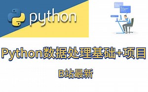 B站最细致的Python讲解，带你零基础入坑Python 数据处理基础 实战项目