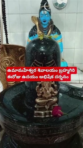 8 ఫిబ్రవరి, 2026