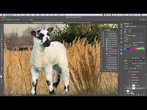 How to Add Something in Photoshop without Floating