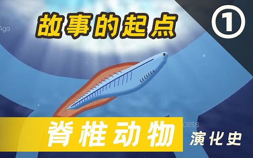 一站博物：脊椎动物的演化-事件一 初具雏形的脊椎