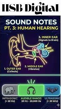 Class 8 Science | Chapter 13 | Sound #cbseclass8 #ncertscience #scienceshorts #class8science #cbse
