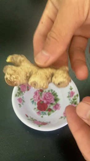 The movement and development of germinating plants in water reels @treeplantingideas60 ContentsGen2 DriveMom D:Mom Contents4a- | DecCheer