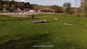 LE SECRET DE LA PERFORMANCE EN CSO « Ce n’est pas un combat, ni une compétition avec mon cheval, mais plutôt une complicité basée sur la communication, qui vient à la base de l’éducation, et nous amenons cela sur un terrain avec les obstacles. » Pour tous les amoureux du saut d’obstacle, nous avons créé un module spécifique alliant les connaissances de l’éducation du cheval, et les connaissances techniques du saut d’obstacle et à l'occasion de cette semaine d'inspiration sur le thème du CSO, j'a