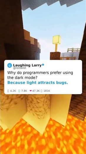 Why Do Programmers Hate Light? 🤔💻