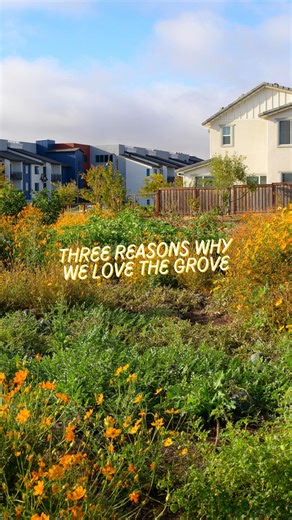Three reasons we love the Grove at One Lake… but trust us, the list goes on! 🌿 See for yourself when you visit the community: https://www.onelake.com/contact/ | One Lake