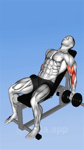 31K views · 1.1K reactions | Full arm workout  | Workout Inspiration | Facebook