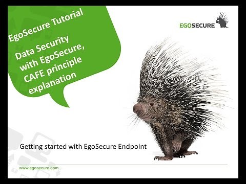Data Protection with EgoSecure. Cafe principle explanation.