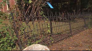 City of Alexandria claims sovereign immunity in dispute over damaged fence