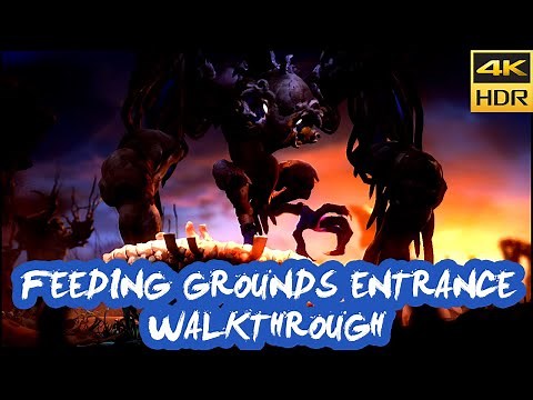 How to Enter the Feeding Grounds Guide - Ori and the Will of the Wisps [4k HDR]