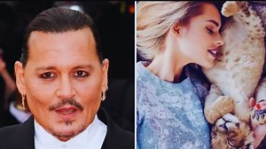 New Update!! Breaking News Of Johnny Depp || It will shock you | USA Gossip Show