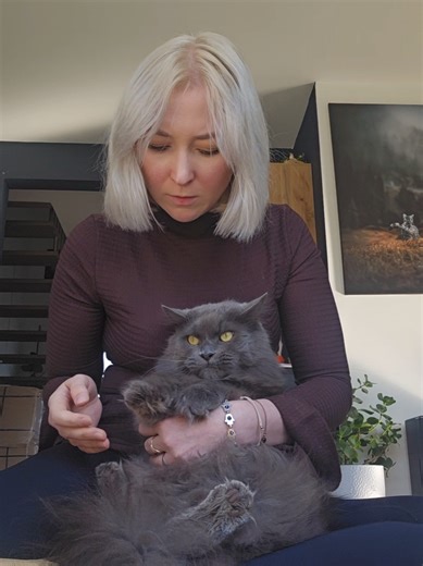 Warten auf den Tierarzt: Katzen liebevoll versorgt