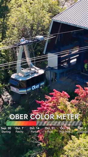 135 reactions · 21 shares |  Ride the iconic Gatlinburg Tram and watch the Smokies transform before your eyes – our Ober Color Meter is climbing fast! From downtown to mountaintop, experience a kaleidoscope of fall colors as the canopy bursts into reds, golds, and fiery oranges. Now is the time to start planning your trip to hop aboard the Gatlinburg Tram! #obercolormeter #fallviewsfromabove #gatlinburgtram #SmokyMountainMagic | Ober Mountain | Facebook