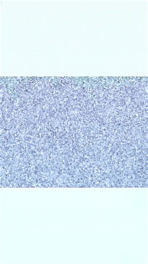 ASDF-Film Part 27: Hilarious Animation and Comedy