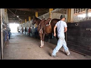 Team Roping - Fido Dio's Ranch (Go Pro)