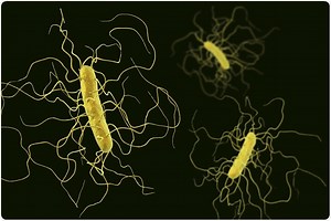 What is Clostridium difficile?