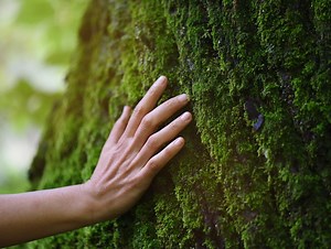 EcoVadis reports key ESG research on industry sustainability