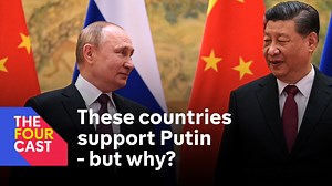 Ukraine: who supports Russia and why?