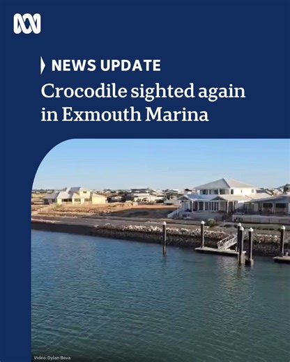 UPDATE: Shire of Exmouth authorities have confirmed the closure of McLeod and Town Beaches. A saltwater crocodile has been sighted again in the Exmouth Marina early this morning. 🐊 The Department of Biodiversity, Conservation and Attractions has confirmed the sighting and says they are preparing to deploy a crocodile trap today. A two-metre crocodile seen in the same area earlier this month evaded capture, forcing the closure of multiple beaches. At the time, the local shire raised concerns tha