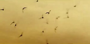 438K views · 6.5K reactions | الحلم اللي غالبا بيبقا مستنيك بعد ما قولت انك نسيت ومبقاش فارق معاك ( هيرجعك لنقطة الصفر تاني ) | Iconic song lyrics | Facebook