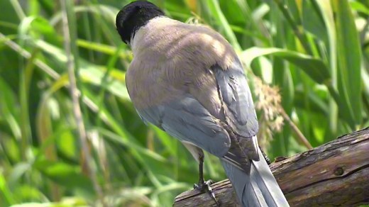 阳光普照的好心情