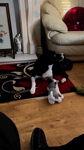 1.6K views · 872 reactions | Watching Ghostbusters #ghostbusters #reaction | Stephen Kelleher | Facebook