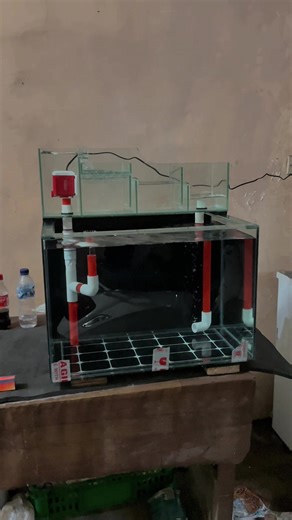 Aquarium 60x40x40 Full Set dengan Filter Top