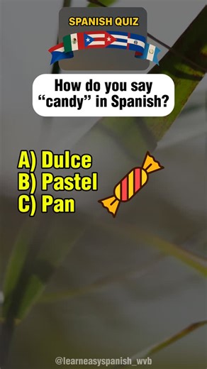 learneasyspanish_wvb on Instagram: "Step inside a Spanish candy shop and satisfy your sweet tooth while learning! From classic “caramelos” to “chocolate” and “chicle,” every word is a treat for your vocabulary. This quiz is perfect for anyone who loves sugar and Spanish at the same time. Comment your favorite candy in Spanish and see how many sweets you can name correctly! #spanishtiktok #learnspanishfast #spanishlesson #spanishquiz"