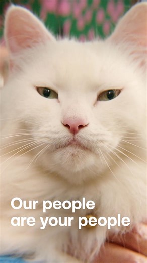 The more services you take, the more you will save. With up to £400 to help you switch | Utility Warehouse