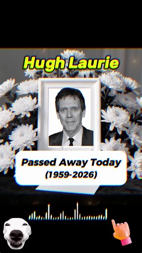What Really Happened to Hugh Laurie in House?