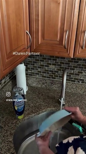 #AD Dawn Platinum Dish Soap