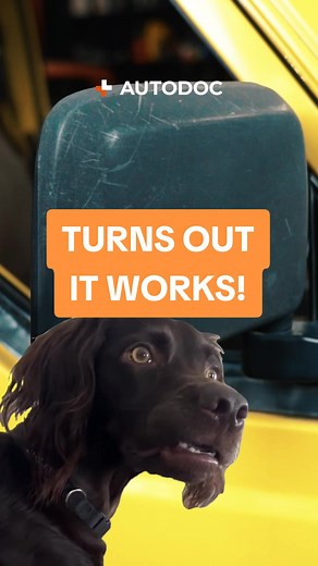 Who else agreed?😅🔥 You will find everything you need in the AUTODOC mobile app!🔥📲 ______________________________ All the spare parts you need in one AUTODOC app📲 Use the active link in our bio🔝 #autodoc #autoservice #carservice #carworkshop #autoparts #carparts #carmechanic #girlmechanic #engine #engineoil #engineoilservice #carsoftiktok #autohack #carrepair #autorepair #tuningcar #tyreservice #diy #tools #mechaniclife #carhacks #autoadvice #carmaintenance #cartips #DIYauto #autorepairshop