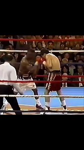 277K views · 2.4K reactions | Julio César Chávez  #boxeo #boxeomexicano #boxing #juliocesarchavez #leyenda #knockout | El Templo Boxing | Facebook