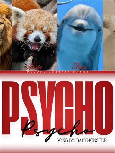 DUgong Entertainment: Daily Cover of Psycho by Babymonster