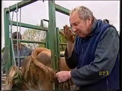 Channel Five Adverts 2005