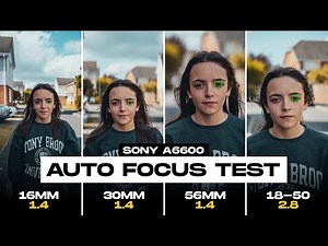 Sigma 18-50mm vs Sigma Primes. Auto Focus Test (Sony A6600)