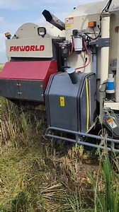 4.4K views · 175 reactions | Politics and elections are over...The production of social issue films and business promotion will now be the primary focuses of SL News Blog. Please take a moment to consider the President's primary goals for his second term in office. To build on that, a substantial foundation has been laid. | SL News Blog | Facebook