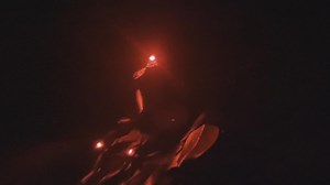 The Outside Edge features Maine's unique bioluminescent bay