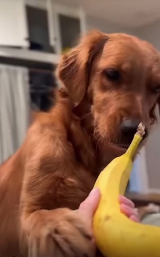 marymoody555 (@marymoody555)’s videos with original sound - marymoody555