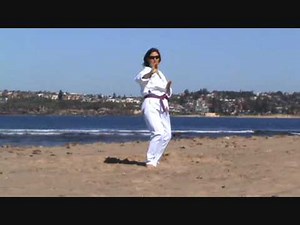 WTF taekwondo patterns Taegeuk sah jang (taegeuk 4)