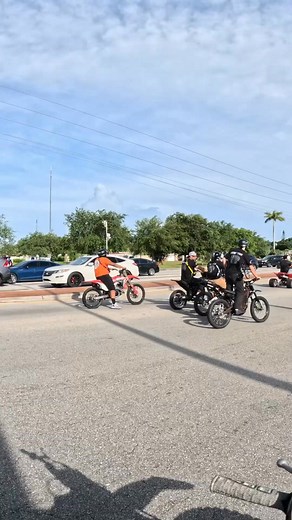 27K views · 209 reactions | Oneway Teezy got camera shy -000 | Red & Blue | Facebook