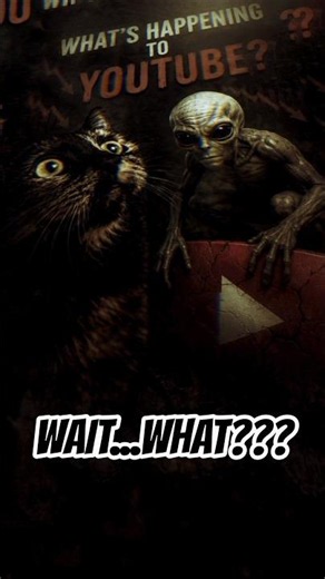 Aliens And Cats Had Millions Of Fans… What Happened?🤔😜
