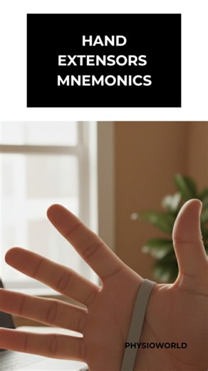 Hand Extensors Mnemonics🔎#trendingshorts #physiotherapist #physicalrehabilitation