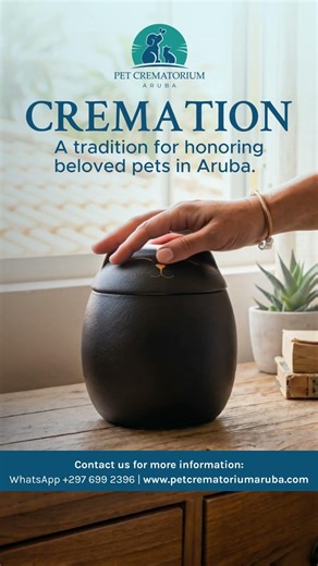 Pet Cremation in Aruba 🐾 A Respectful Goodbye for Your Best Friend 🕊️