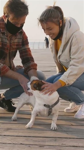 Your Dog Can Become an Official National Park BARK Ranger! 🐾🛡️