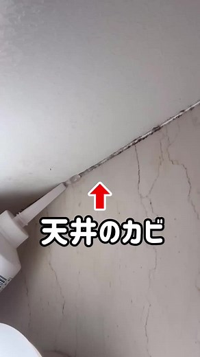風呂天井のカビを簡単に落とす方法