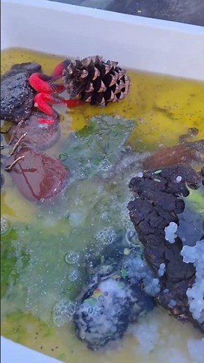 So many textures to explore at our weekly Messy Play Sessions